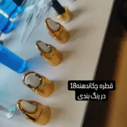 قطره چکان دهانه 18 قلاب دار طلایی وارداتی